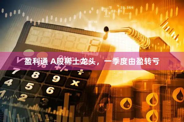 盈利通 A股稀土龙头，一季度由盈转亏